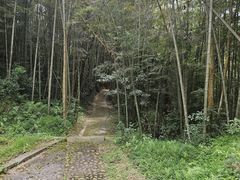 -福建土楼·永定景区-侨福楼