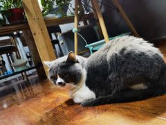 -不作·手工银饰DIY(西红门店)