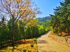 -北京西山国家森林公园