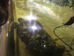 -苏州海洋馆