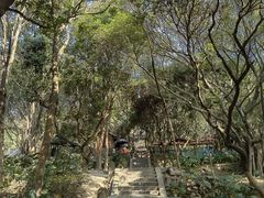 -云洞岩风景区
