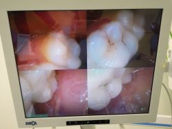 -青苗儿童口腔(长楹天街购物中心)