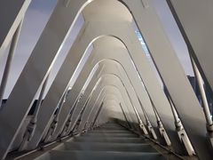 -上海山野camping·户外天幕烧烤·团建拓展营地