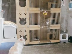 -浣熊柯尔鸭土拨鼠·电玩咖