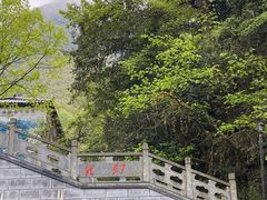 -藏龙百瀑风景区