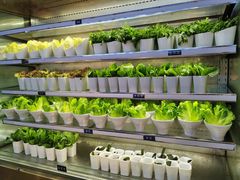 -V-ONE西雅图海鲜自助餐厅(仓山万达广场店)