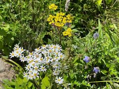 -白草畔自然风景区