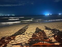 -海南清水湾莱佛士酒店