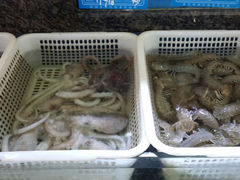 android_upload_pic-双合园·海鲜水饺青岛菜(上清路店)