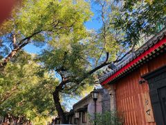 -北京国子监胡同