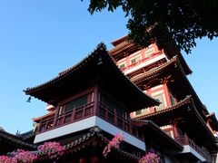 -新加坡佛牙寺龙华院