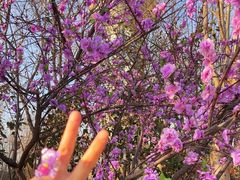 -郑州方特梦幻王国