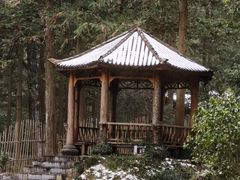 -姑婆山旅游区