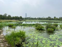 -澹台湖公园