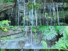 -燕晗山郊野公园