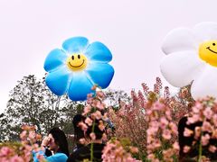 -三圣花乡旅游区