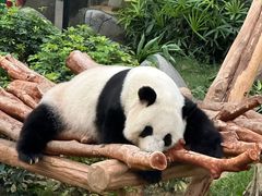 -香港海洋公园