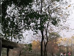 -天适樱花悠乐园