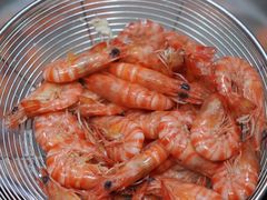 九节虾-凯华海鲜火锅·传承三十六年