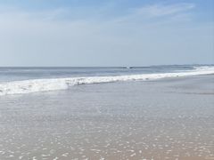 -日照海滨国家森林公园