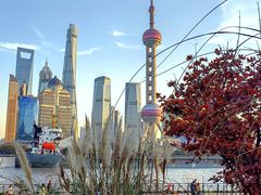 -北外滩滨江绿地