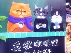 -有猫主题·治愈系猫咖(曾厝垵店)