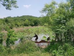 -盘龙城国家考古遗址公园