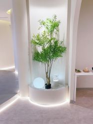 -VE专注问题肌·赛诺龙&科学美肤中心