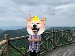 -武陵山森林公园