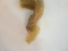 -周鱼小馆石锅酸菜鱼(活力汇店)