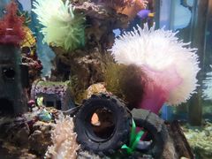 -太平洋海底世界