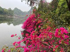 -星湖旅游景区七星岩