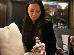 -JUJU韩式烤肉·干杯小酒馆
