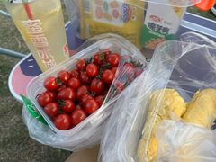 -苏州东太湖生态园
