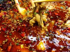 -靓蛙馆