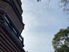 -顺峰山公园