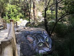 -黑龙潭风景区