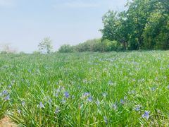 -北京西山国家森林公园