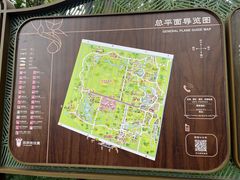 -东平国家森林公园