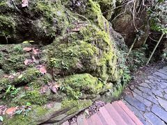 -大余丫山旅游度假区