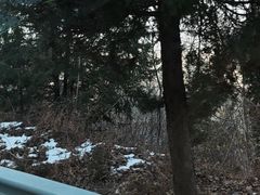 -终南山南五台景区