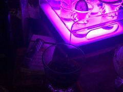 -海雾里小酒馆(观音桥店)