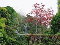 -广州神农草堂中医药博物馆
