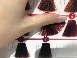 -丝语萱形象