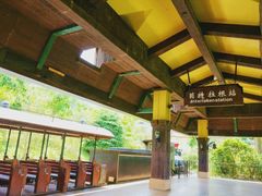 -东部华侨城