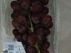 -坂田天虹