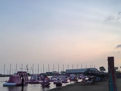 -碧海金沙