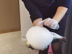 -鲐赏河豚(长寿店)