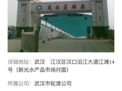 -武汉关码头(轮渡站)