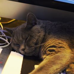 -飛凡TATTOO纹身•原创